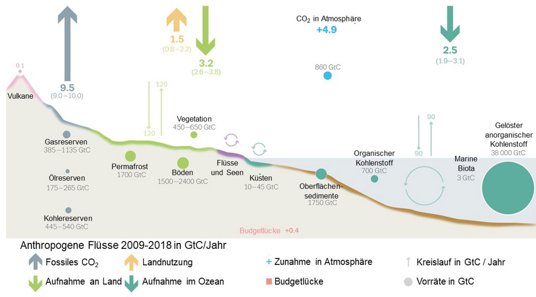 Kohlenstoffkreislauf Grafik