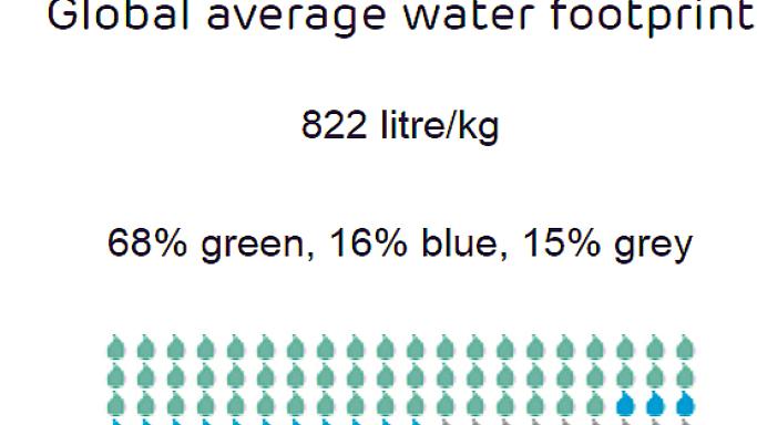 Durchschnittlicher Wasserverbrauch für 1 kg Äpfel