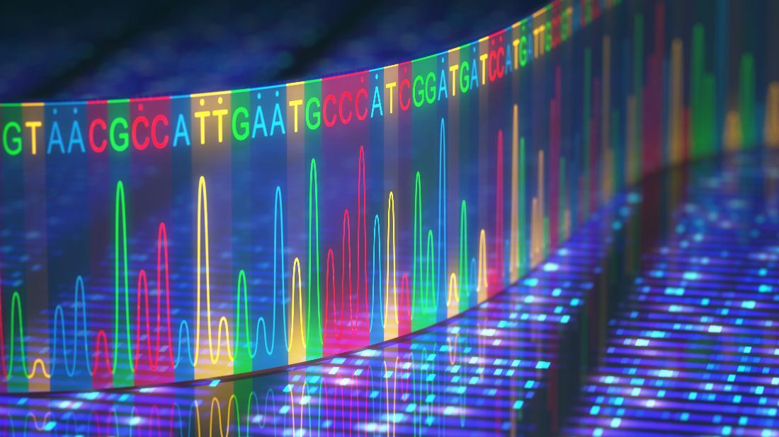 Sequenzierung, DNA